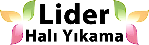 Diyarbakır Lider Halı Yıkama Fabrikası Logo